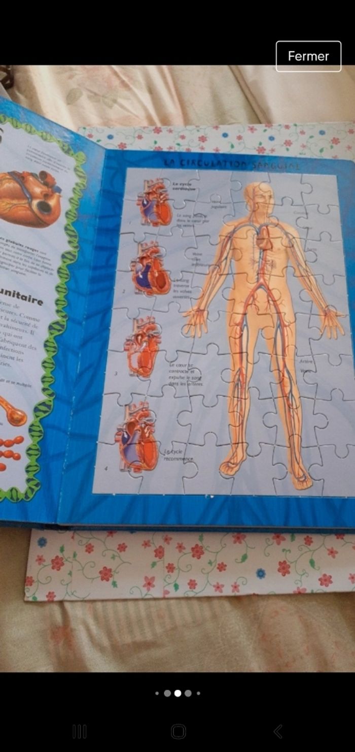 Livre 5 puzzles le corps humain - photo numéro 5