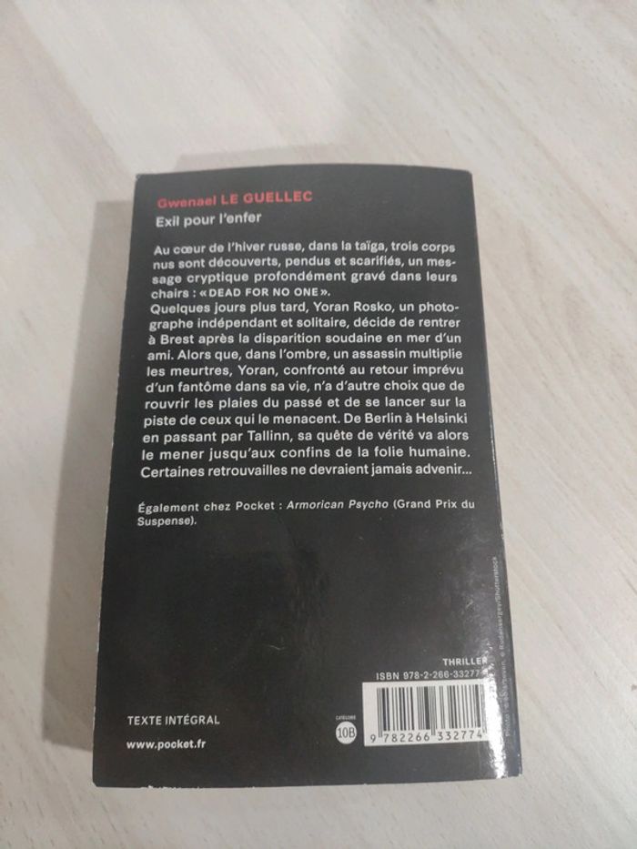 Livre poche Exil pour l'enfer Le Guellec thriller - photo numéro 6