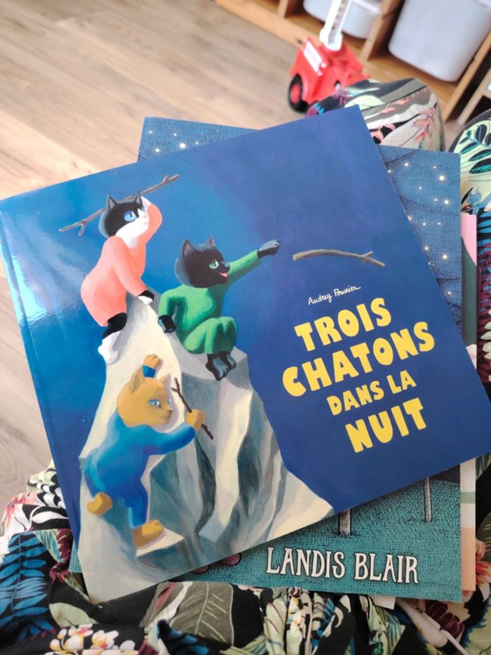 Livre " trois chatons dans la nuit "
