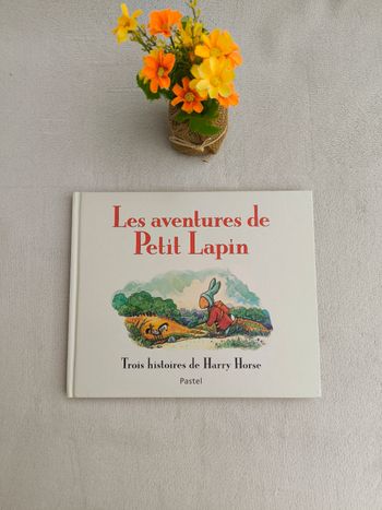 Livre Les aventures de Petit Lapin