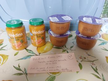 Lot 2 petits  pots de jour et 4 petits pots de nuit 6 mois