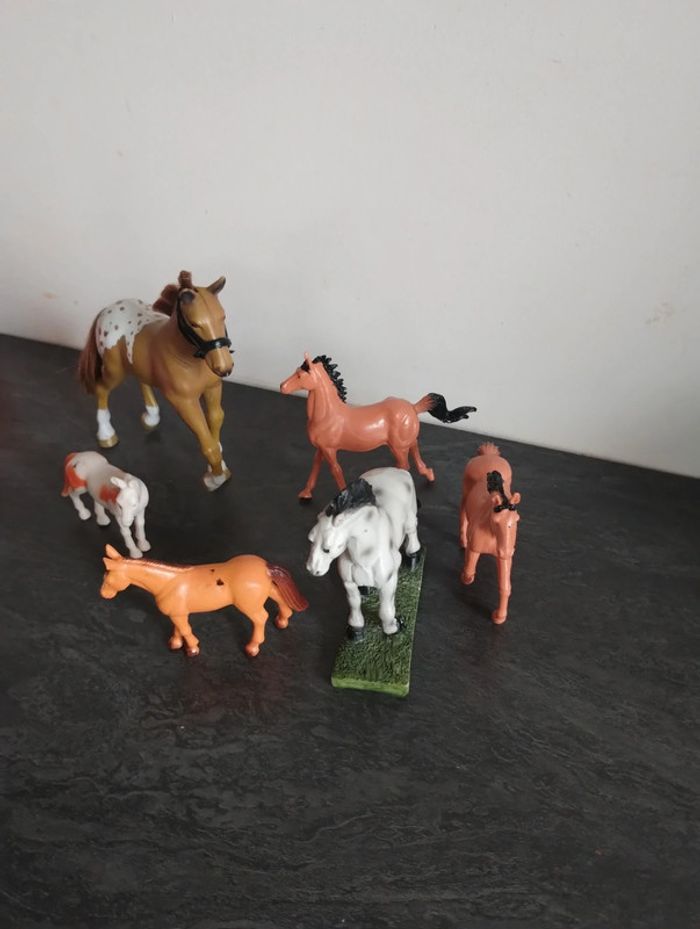 Chevaux - photo numéro 3