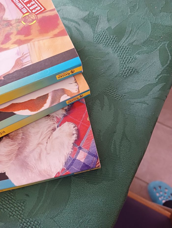 Lot de 3 livres Bayard poche - photo numéro 9