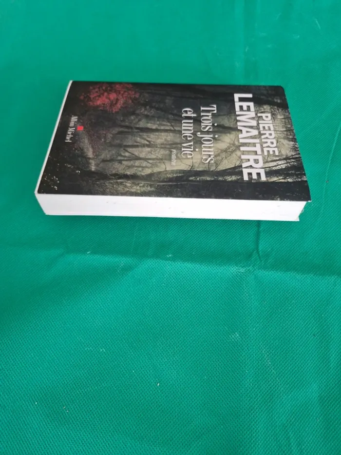 Trois jours et une vie Pierre Lemaitre - photo numéro 3