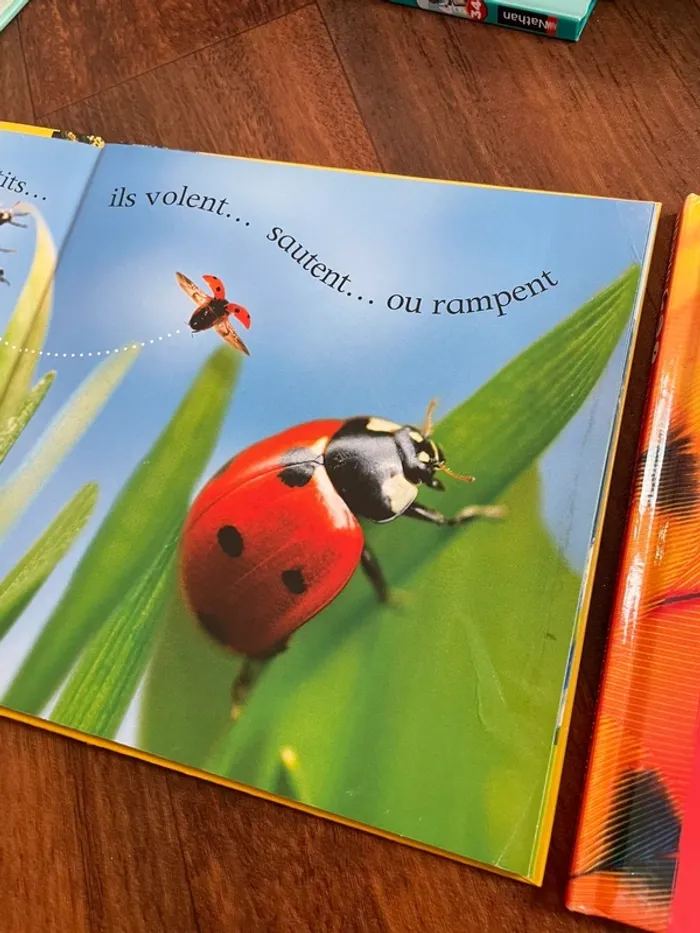 Lot documentaires : insecte et oiseaux - photo numéro 4