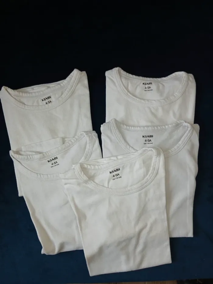 Lot 5 tee-shirts 4/5 ans