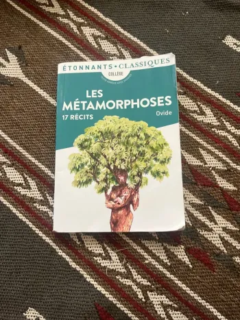 Les métaphores