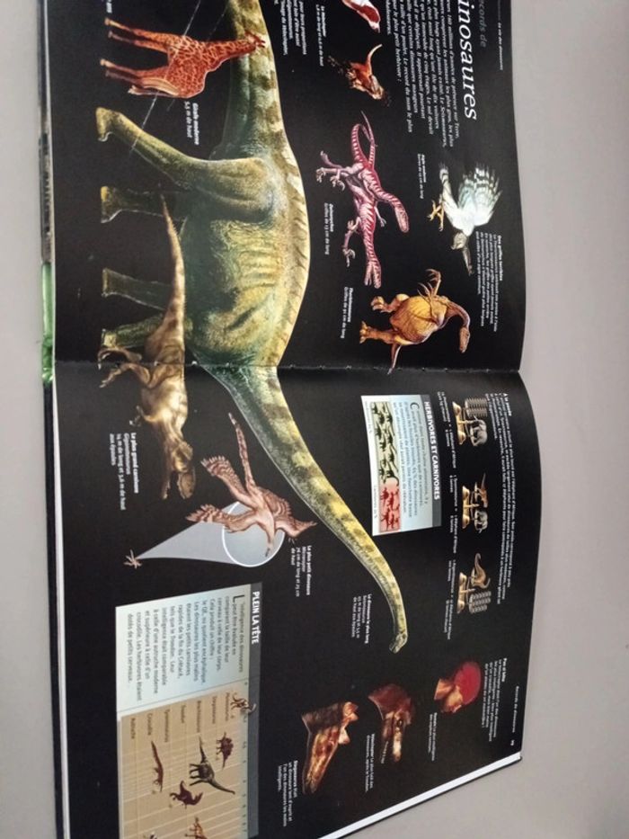 Les dinosaures à la loupe édition France loisirs - photo numéro 10