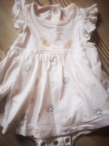 Robe body