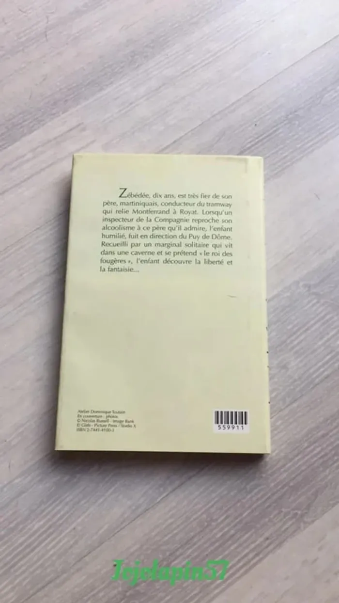 Livre Le roi des fougères - photo numéro 2