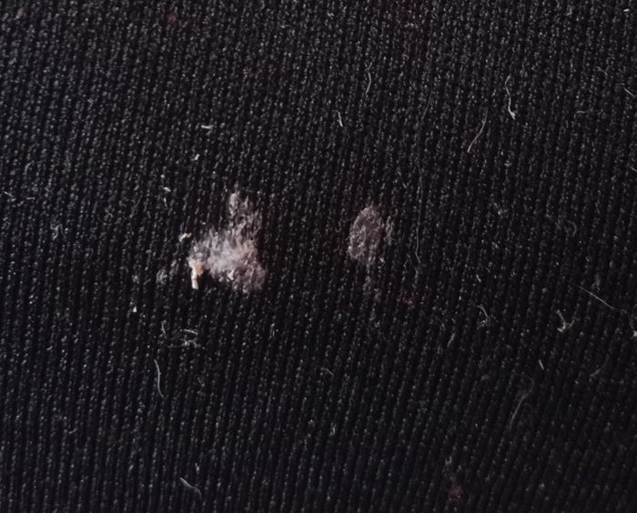 Rehausseur car's - photo numéro 4