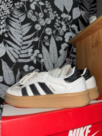 Samba xlg plateforme