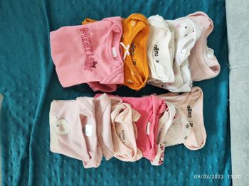 Lot de 10 bodies manche courtes