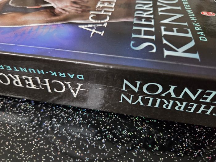 Livre de poche dark hunters tome 12 - photo numéro 3