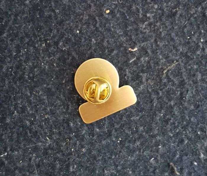 Pins Vizir et Vizirette plus - photo numéro 3