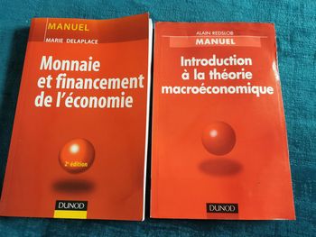 Lot de 2 manuels éd. Dunod Monnaie et financement de l'économie et la théorie macroéconomique