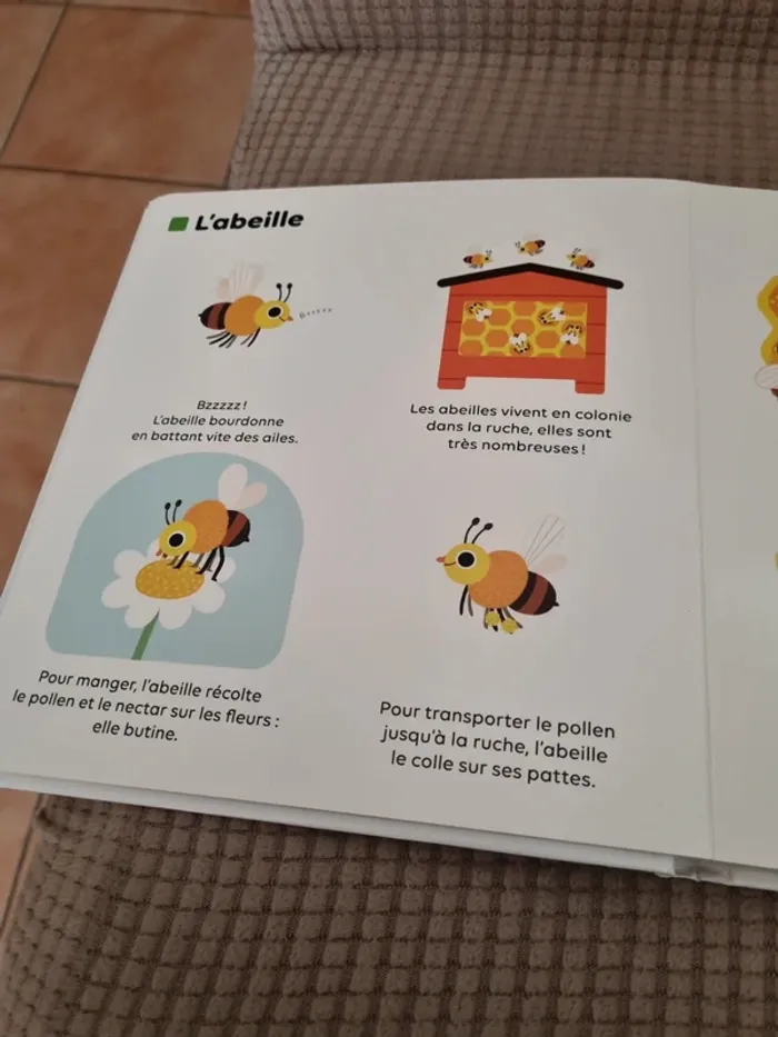 Livre "les petites bêtes " - photo numéro 4