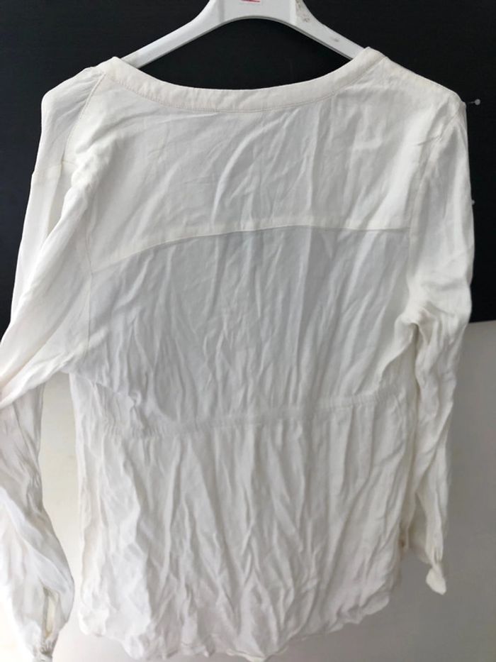Brousse blanche - photo numéro 5
