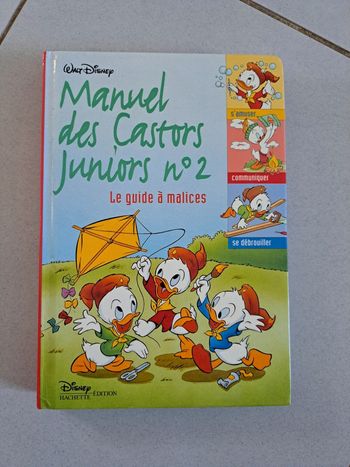 Castor junior
