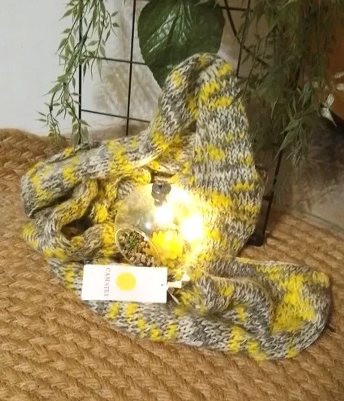 écharpe Camaieu neuve - acrylique et laine - 230x24 cm - photo numéro 3