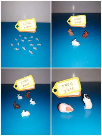 Thème* animaux rongeur / hamster - lapin - souris - écureuil