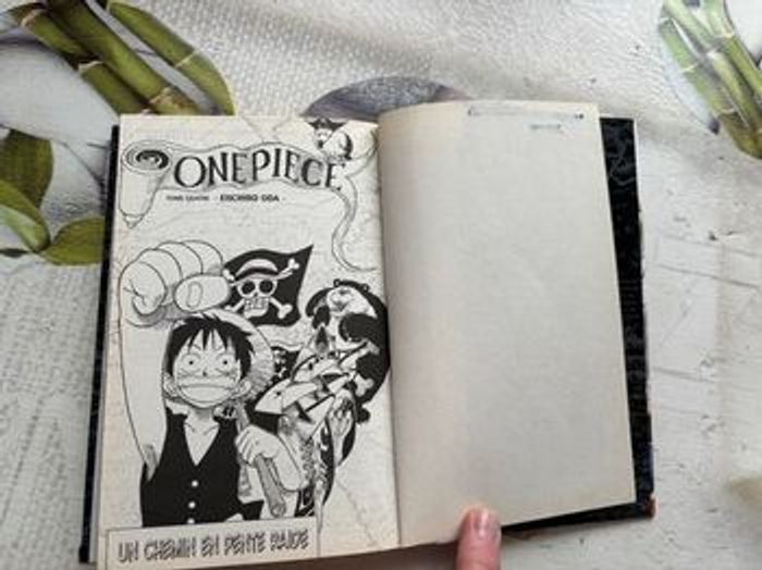 Livre Once Piece - photo numéro 2