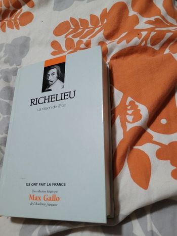 Richelieu la raison de l etat