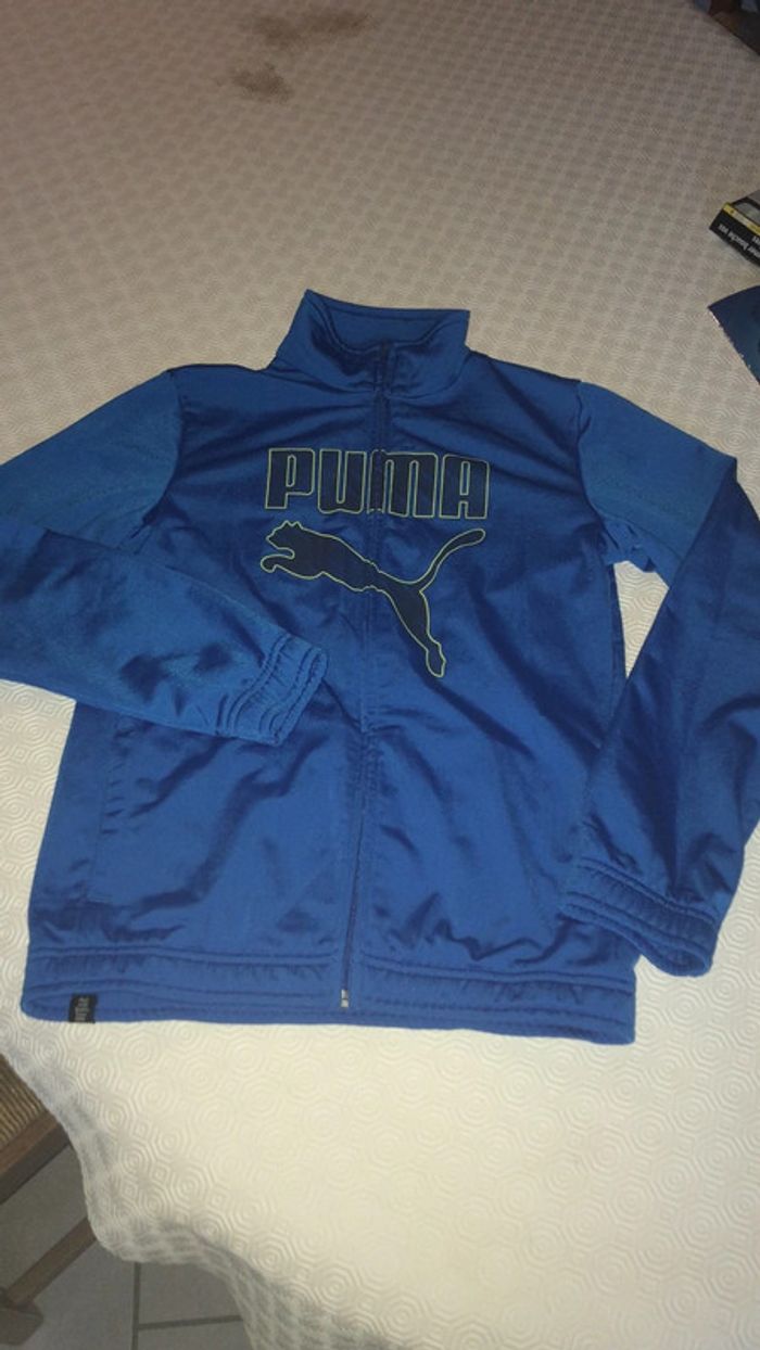 Veste puma