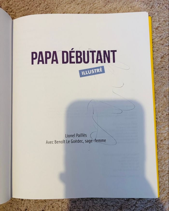 Livre Papa Débutant Illustré - photo numéro 3