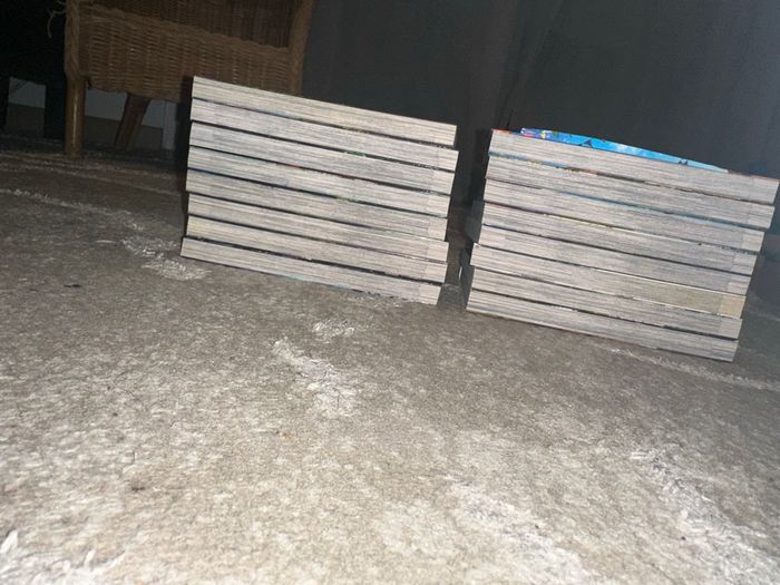 Manga - photo numéro 2