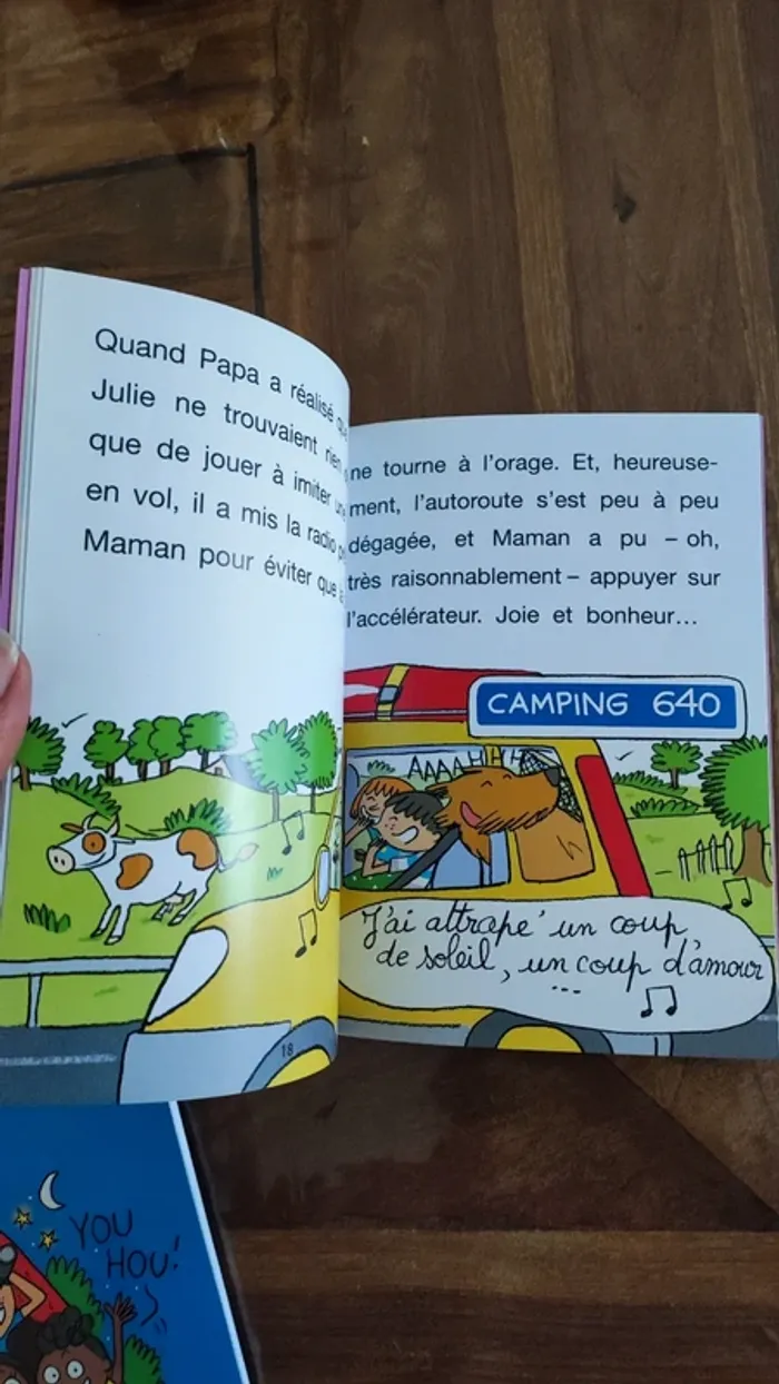 Livre CE1 sami et Julie - photo numéro 3