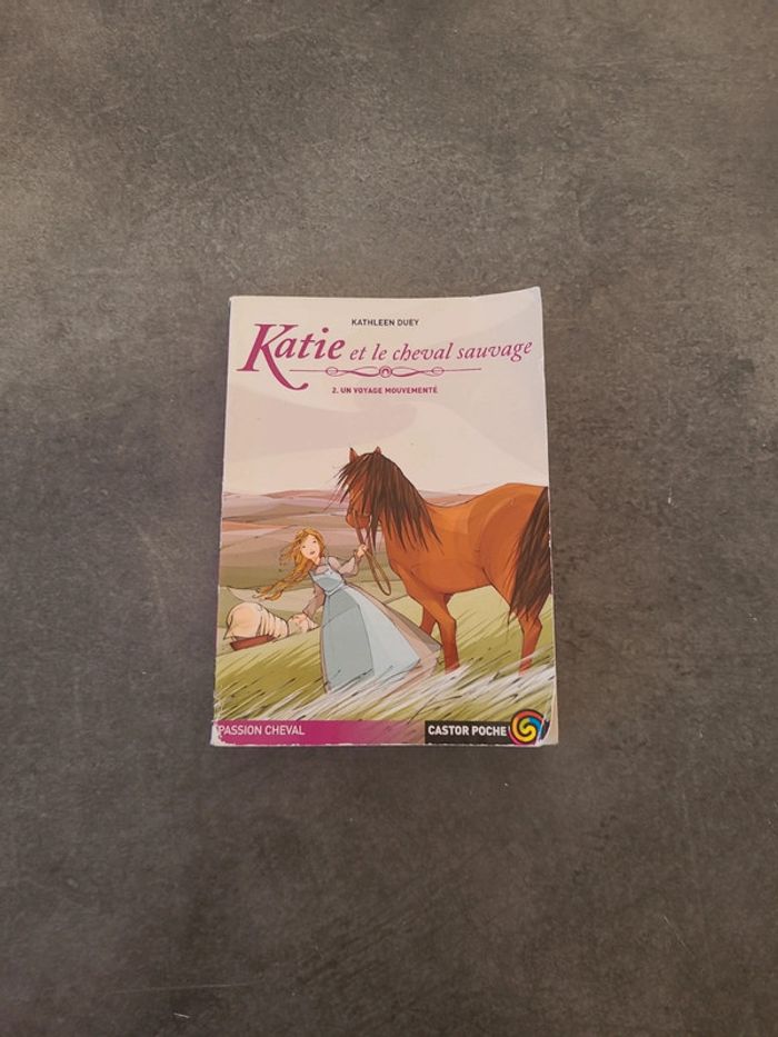 Livre Katie et le cheval sauvage