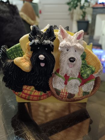 Porte courrier chiens 