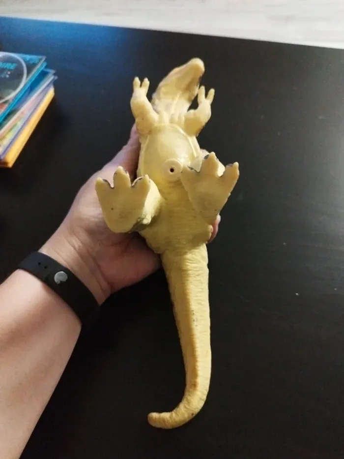 Dinosaure - photo numéro 4