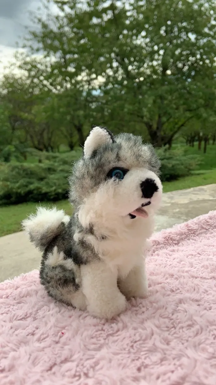 peluche husky - photo numéro 2