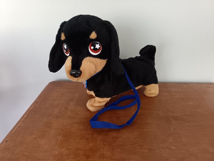 Waggles en balade Animagic-Chien - photo numéro 10