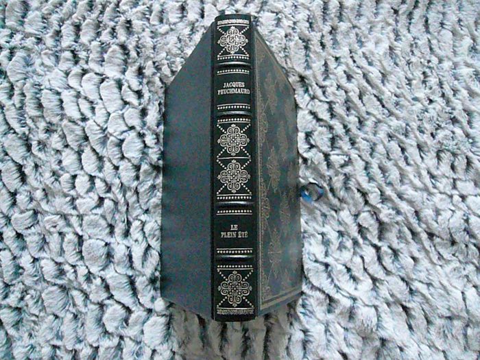 Livre de Jacques Peuchmaurd « Le plein été »