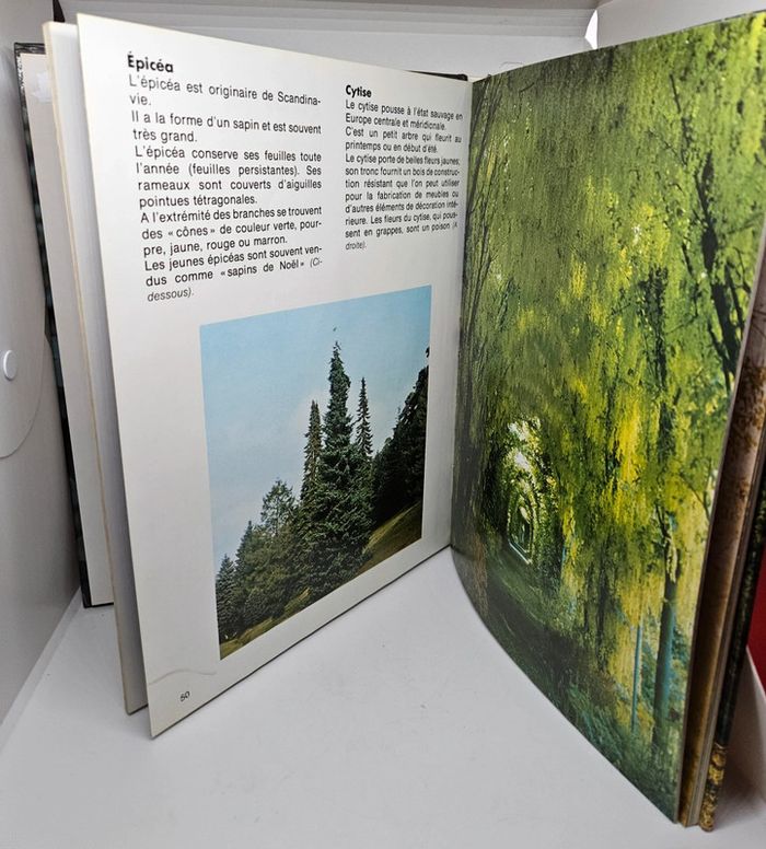 "Mon premier livre des arbres et des fleurs".
Gründ.
146 pages.
ISBN : 2.7000.5604.3 - photo numéro 3