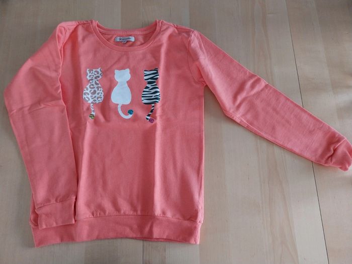 Pull sweat fille 12 ans chats