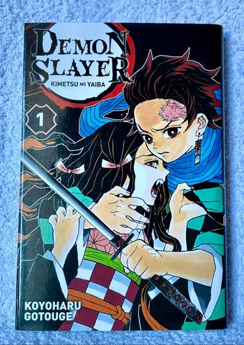 Tome 1 Demon slayer