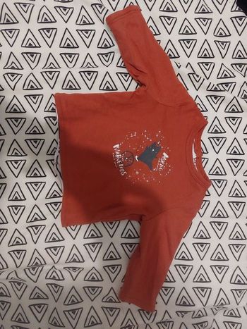 Tee shirt manche longue