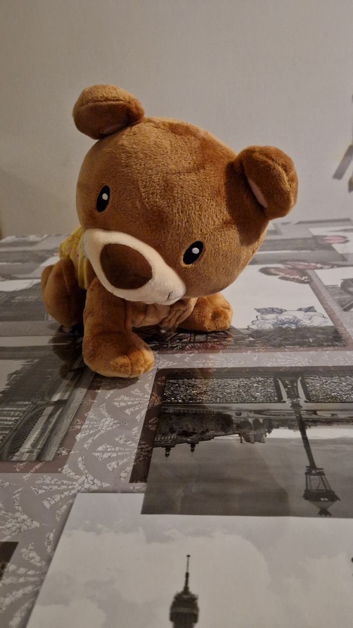 Ourson - photo numéro 3