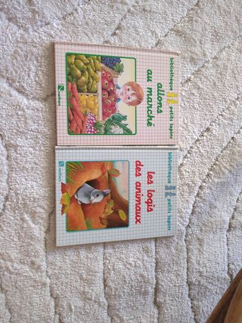 Lot de 2 livres "bibliothèque petits lapins"