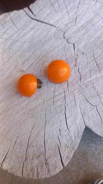 Boucles d'oreilles clips vintage