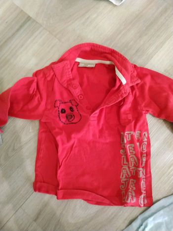 Polo dpam