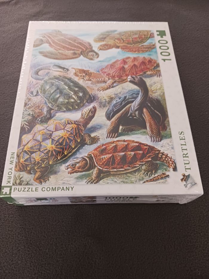 Puzzle Turtles 1000 pièces - photo numéro 5