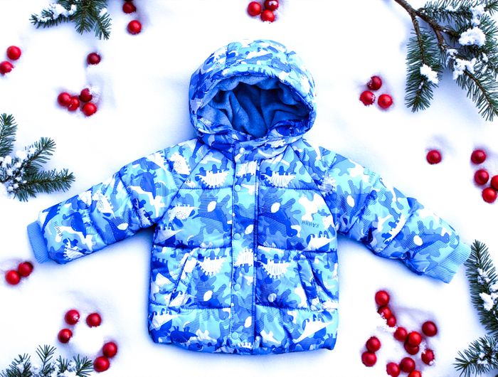 GÉMO - NEW - ANORAK GARÇON BLEU IMPRIMÉ DINOSAURES & INTÉRIEUR TYPE POLAIRE 18M - photo numéro 3