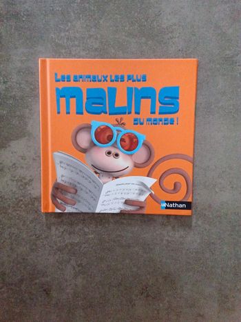 Les animaux les plus mains au monde !