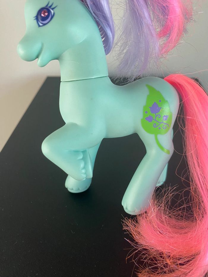 Pony ivy - photo numéro 3