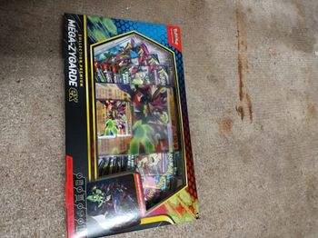 Coffret zygarde